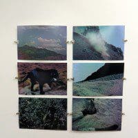 New Irish Works at düo gallery in Paris.