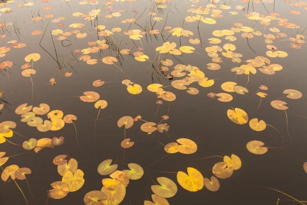 © Sean Breithaupt, Floating Ireland, 2013. seanandyvette.com