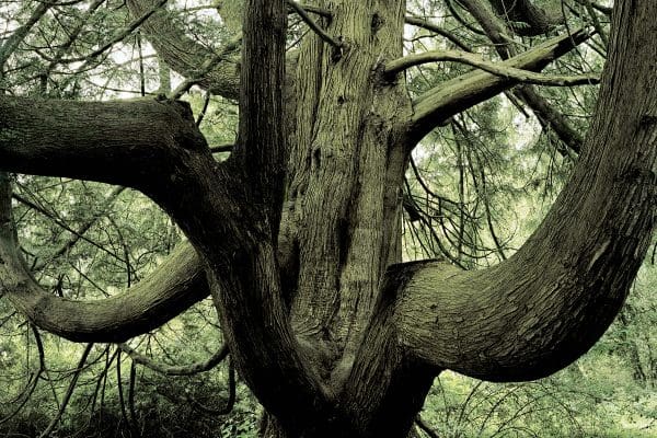 © Simon Burch, Coolfin, from the series Under a Grey Sky, 2009. simonburch.com