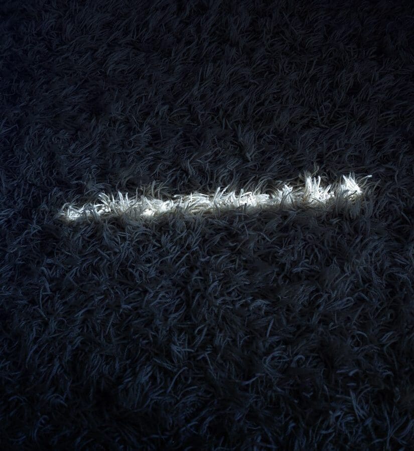 George Voronov, We Became Everything