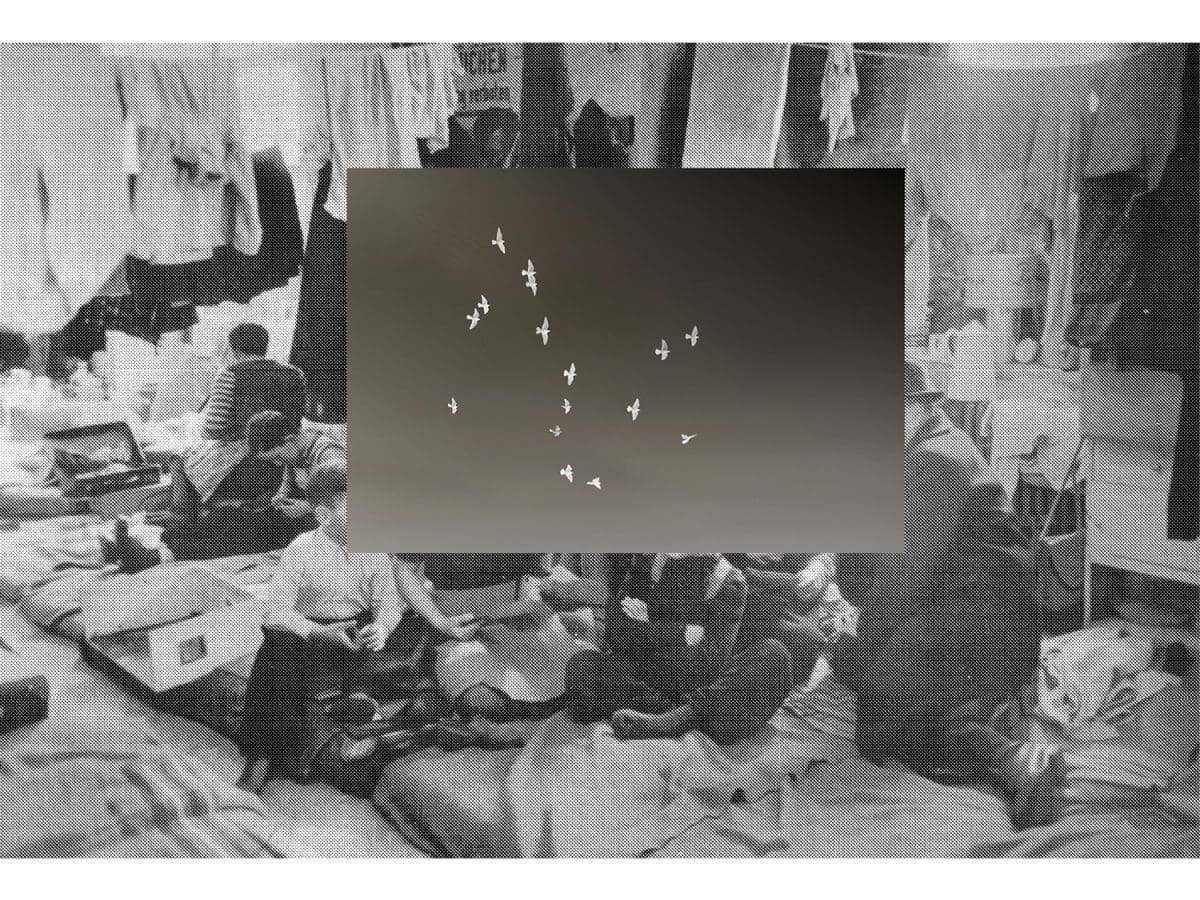 Aisling McCoy, and live the space of a door