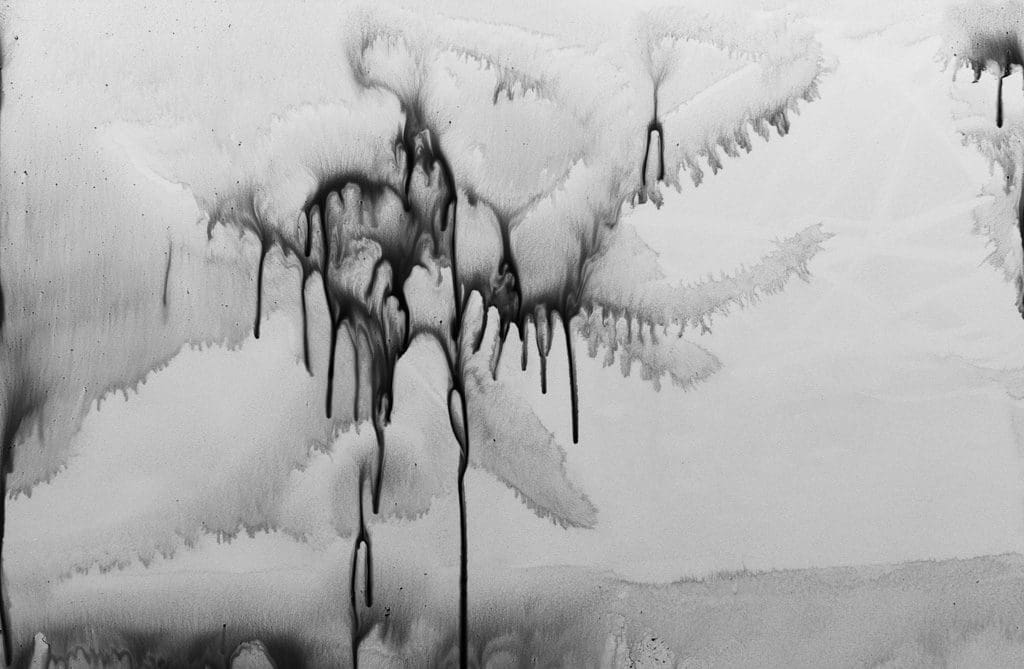 Yvette Monahan, Octopolis_09
