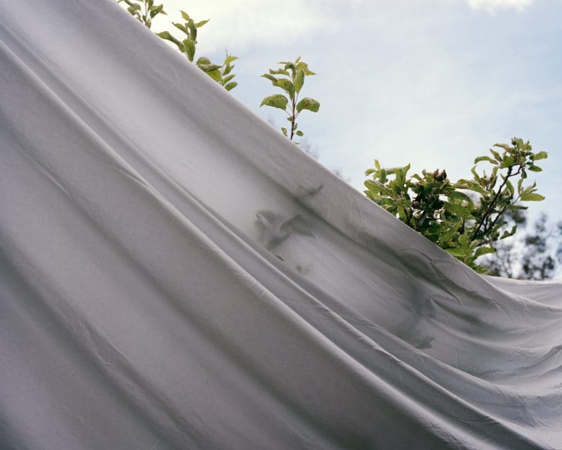 Pauline Rowan, Under a Vaulted Sky