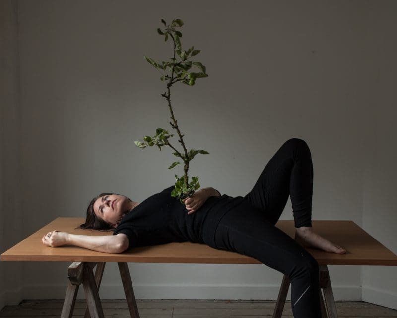 Pauline Rowan, Under a Vaulted Sky