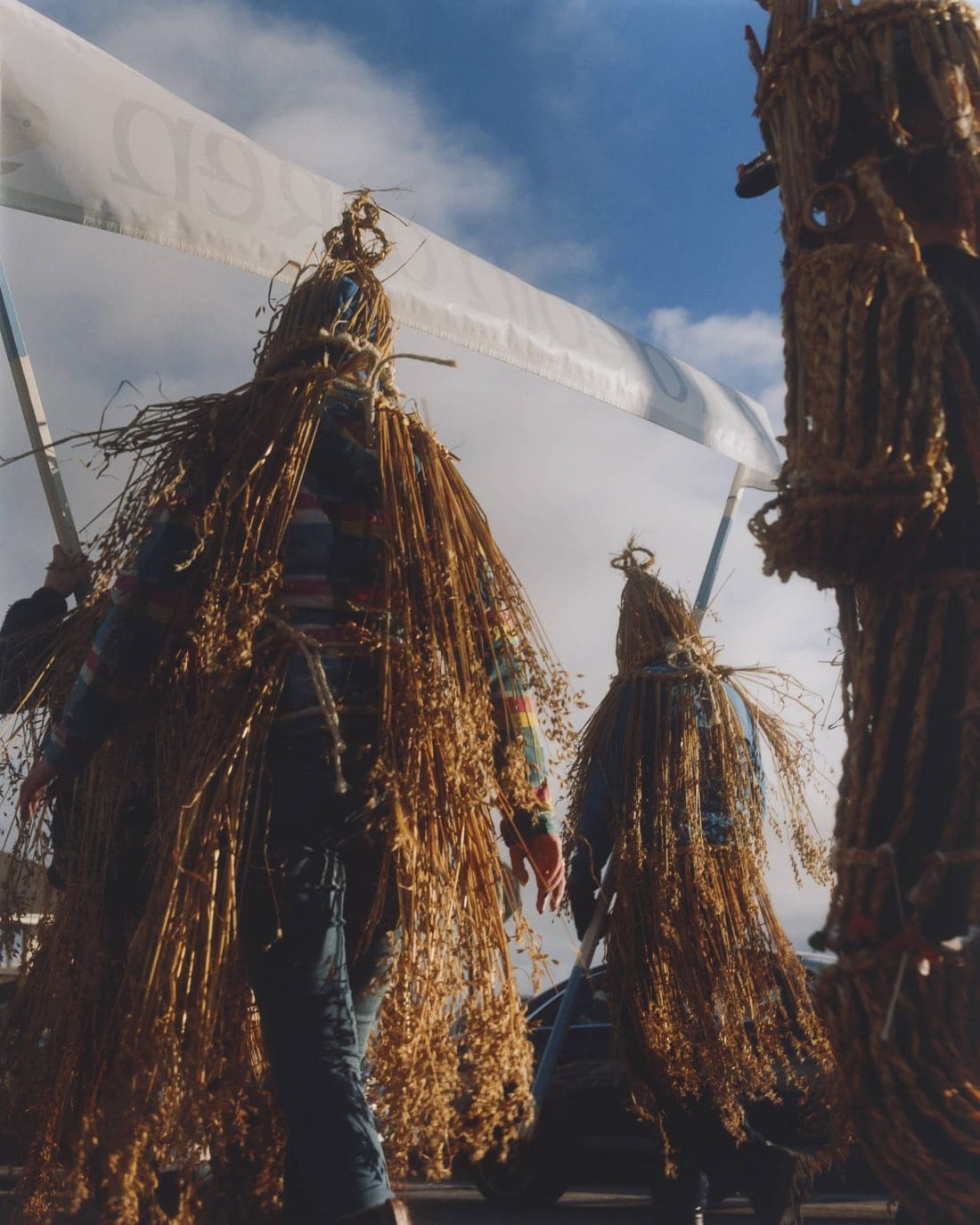 Andrew Nuding's Hunt the Wren