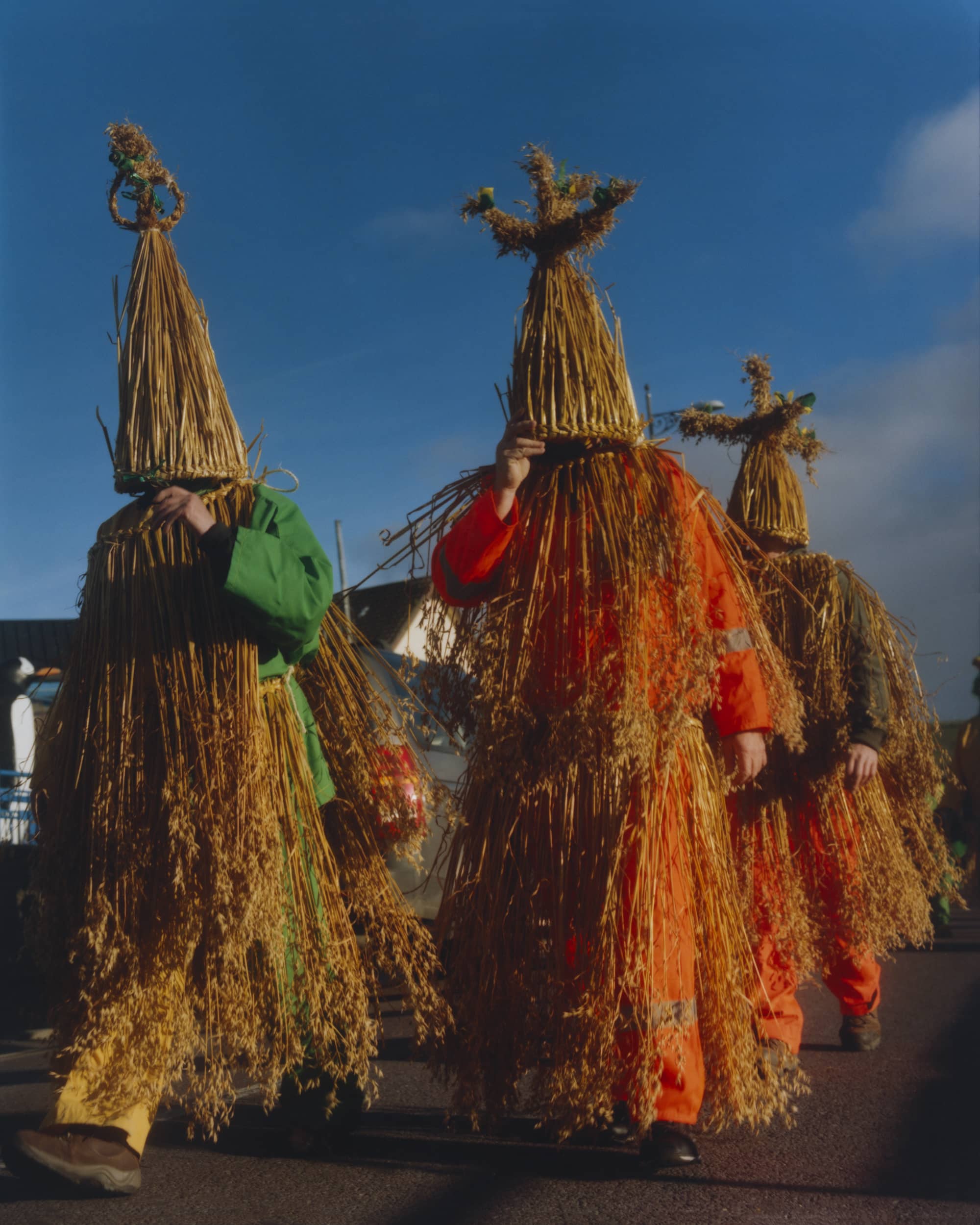 Andrew Nuding's Hunt the Wren
