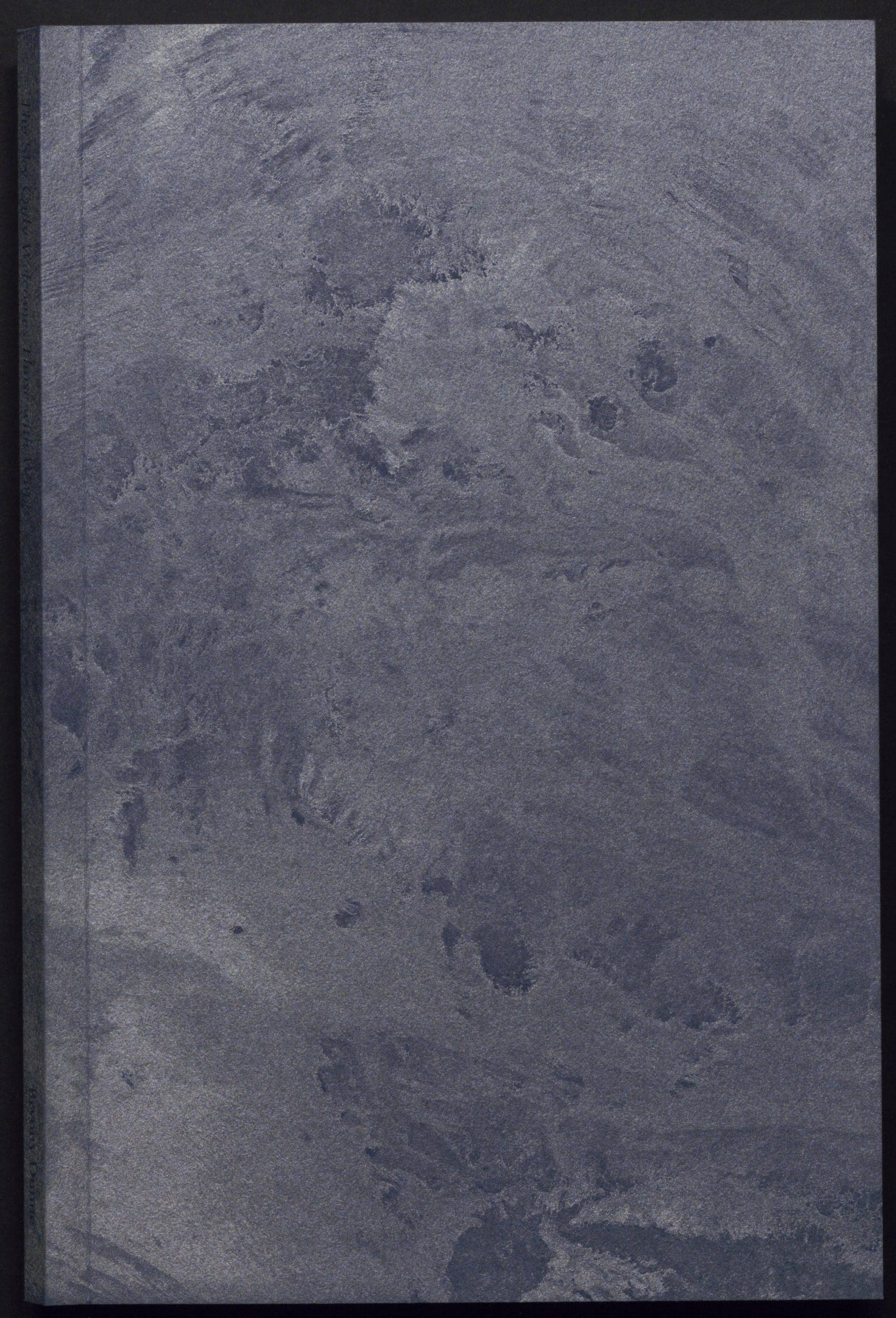 The Sky Only Welcomes Those with Wings, published by DOLCE