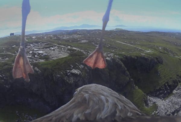 Bryony Dunne, New Irish Works