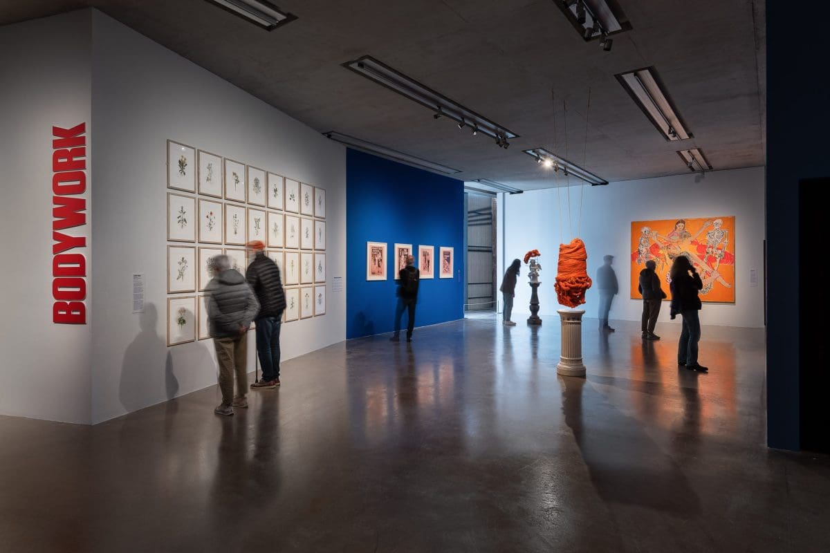 'Bodywork' at Crawford Art Gallery, cork, installation shot