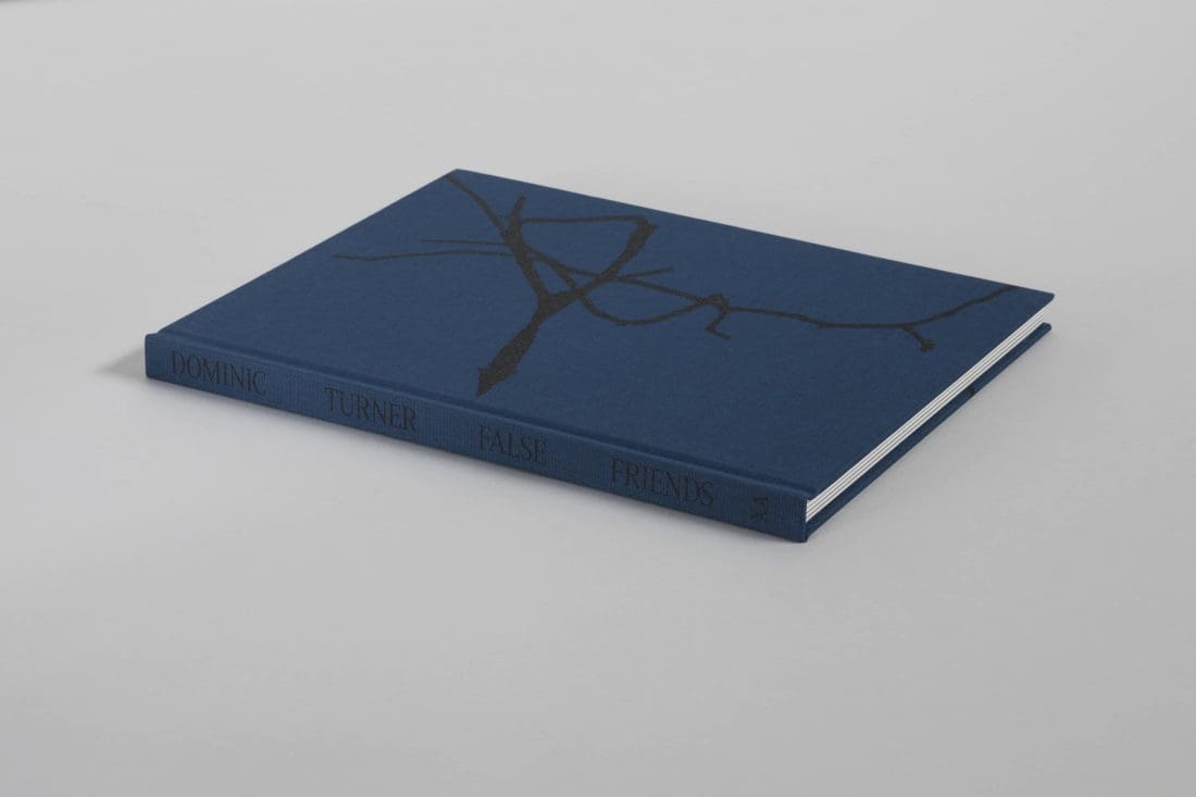 Dominic Turner_False Friends