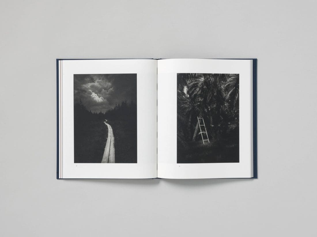 Dominic Turner_False Friends