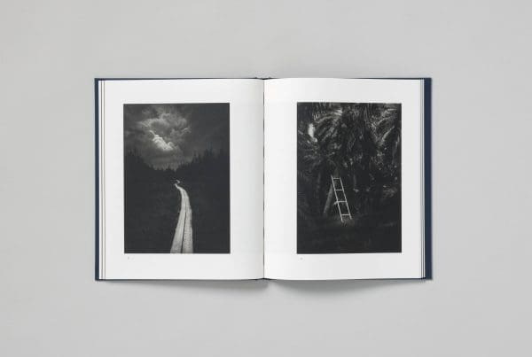 Dominic Turner_False Friends