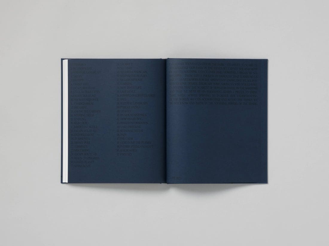 Dominic Turner_False Friends