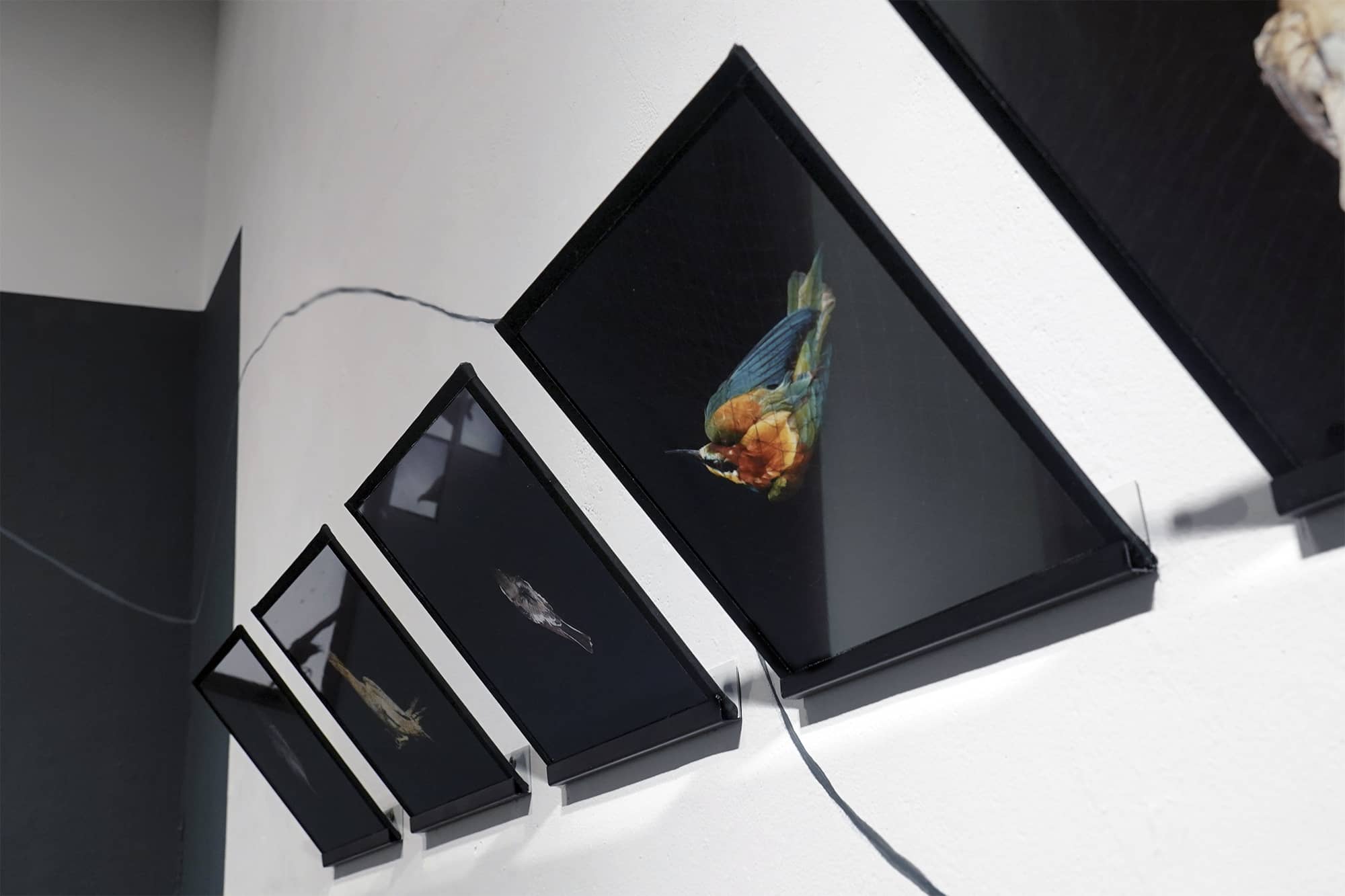 New_Irish_Works_2023_Bryony_Dunne