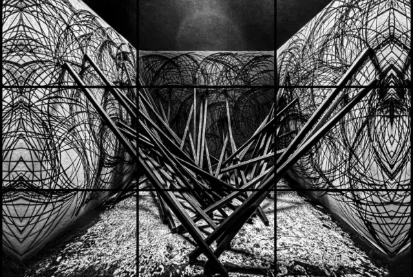 AS IF at the International Centre for the Image