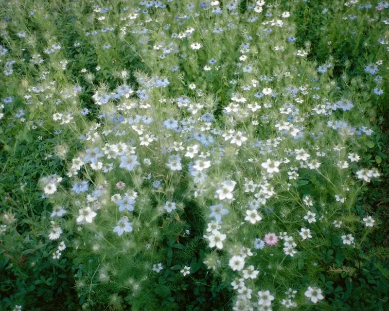 El Salam_Eslam Abd_CYSWYH___005