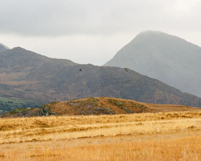 Rafter Therese Anna, Tremor