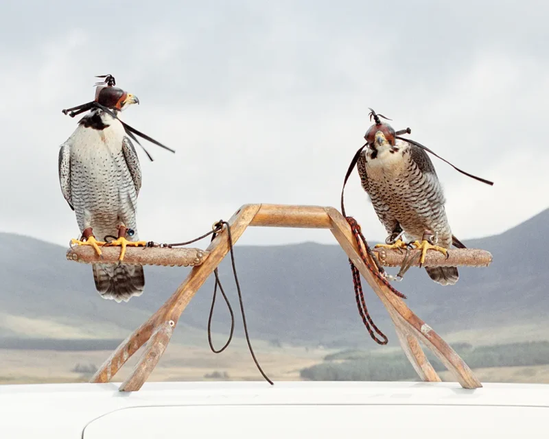 Rafter_Therese Anna_Tremor_014